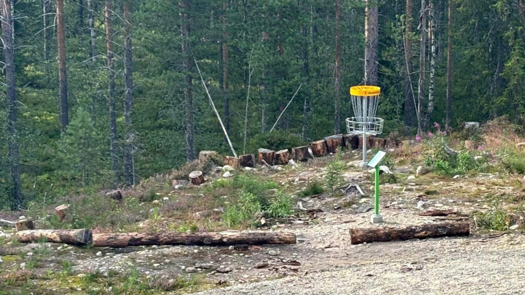 discgolf-kurv i skogen